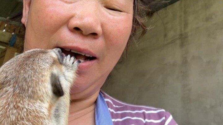 Forced on a business trip, the nanny who came to feed [the pet] filmed me — Part 3
