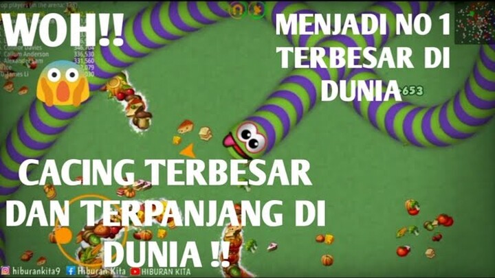 Cacing terbesar dan terpanjang di dunia. Sangat menakjubkan .