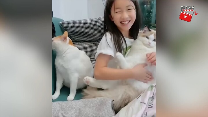 Thấy chủ BẾ KẺ KHÁC chú mèo QUAY LƯNG hờn cả thế giới khiến ai nấy BẬT CƯỜI