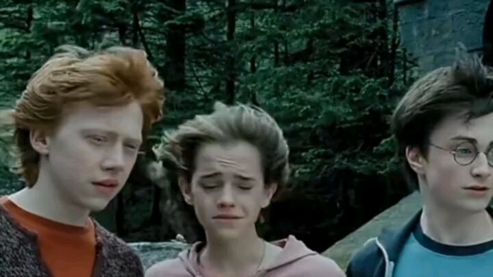 Bóng đèn hiệu Harry