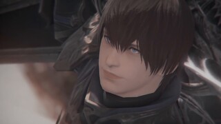 【Dark Knight】The Perfect World【FF14】