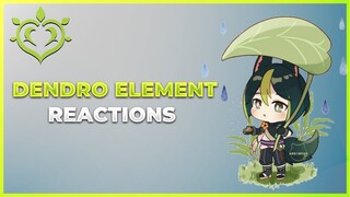 All Dendro Element Reactions Explained | Genshin Impact