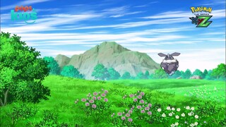 pokemon xyz 127 (311)