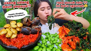 WENAK PARAH⁉️ MAKAN OSENG UDANG DAUN PEPAYA SAMBEL TERASI LALAPAN MENTAH JENGKOL PETE BATANG PEPAYA