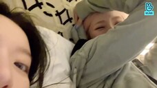 040822 헤