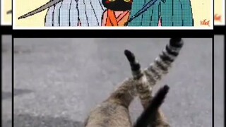 วาดและจริง