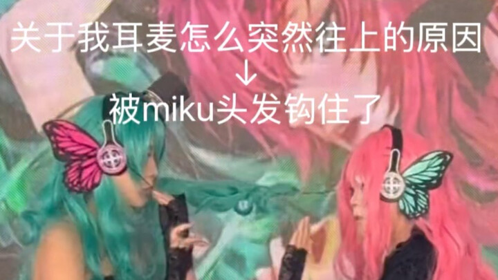 I’ve made a pact with Miku’s hair!