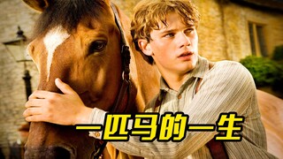 一匹马的一生，也是打工人的真实写照，乾坤未定你我都是牛马