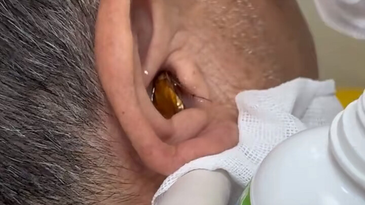 ความน่ากลัวแบบกวางตุ้ง