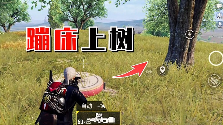 Climb a tree to fish! The correct way to use the new version of the trampoline