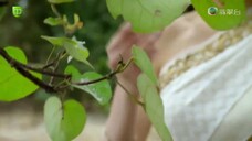 Anh Hùng Thiết Quyền EP 10 [Sub Việt]