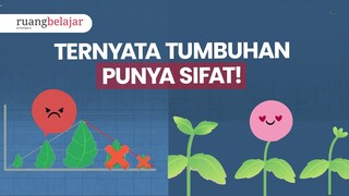 Konsep Pertumbuhan dan Perkembangan Tumbuhan | Video ruangbelajar Biologi Kelas 12 SMA