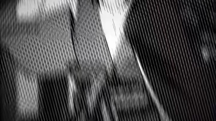 Sasuke protecting the leaf village