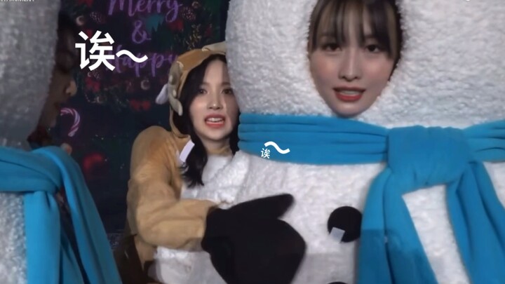 “TWICE” mungkin… Nanan juga bisa jadi Momo, ya?