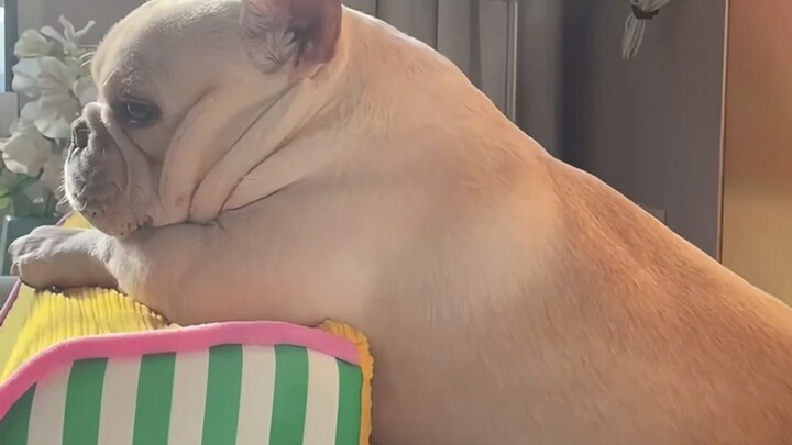 No, dude, is that smell even right?