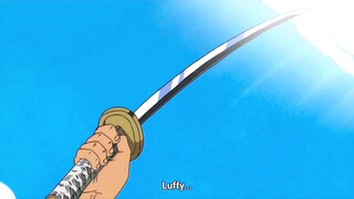 Janji Zoro pada Luffy 😔