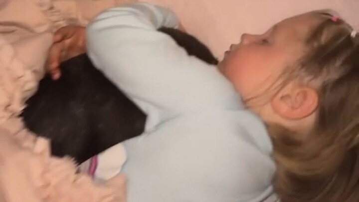 The little koala’s gone— turns out my daughter secretly took it to bed with her!