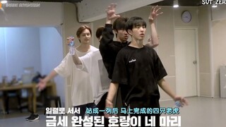 【SVT_ZER·0】[INSIDE SEVENTEEN] 2020 ＜SEVENTEEN tại CARAT LAND＞ Hậu trường buổi tập nhảy (Phụ đề tiếng