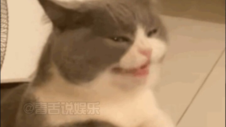 هذا ابني الحقيقي!!