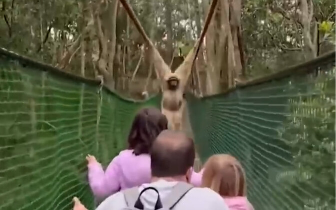 Excuse me, could you please move?