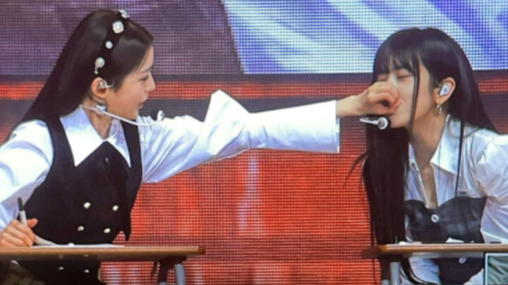 Sudah masuk, langsung lihat anjing lucu!