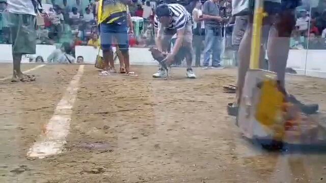 Dalawang Palo tulog Kalaban..