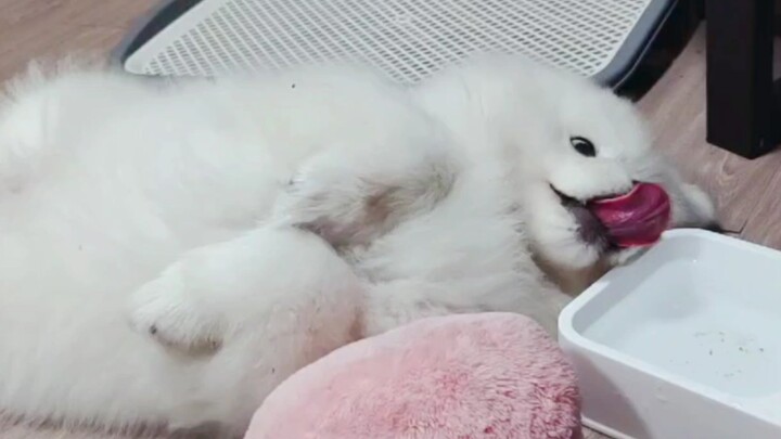 What on earth have I ended up raising?