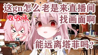 纯情gn发sc示爱惨遭塔菲无情嫌弃🤢心碎雏草姬何去何从...😔