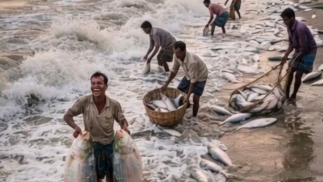 Huge Fish Catch! 🐟🌊#BigFish #Fishing #SeaFishing #AmazingCatch #ViralVideo