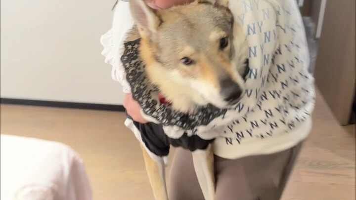 It's time to draw the lots! Tonight, 7 consorts will be attending the Emperor.