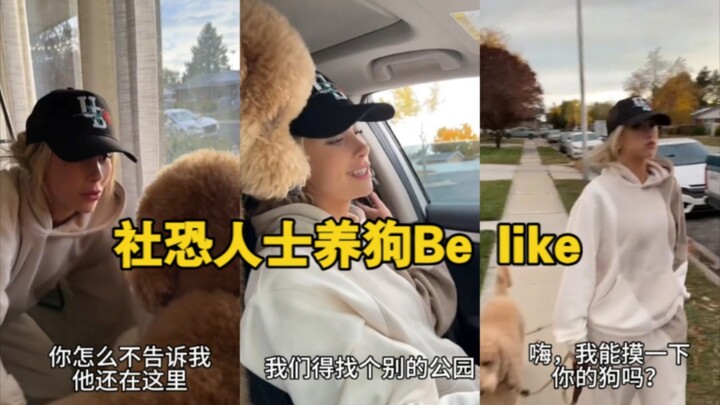 When a social-anxious person pets a dog — Hilarious! They freeze up just walking the dog in public, 