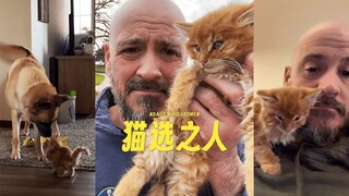 当猫猫选择了你 💗