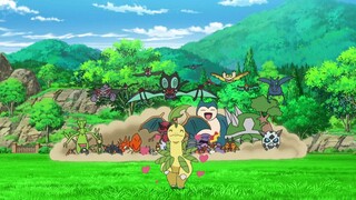 [Perjalanan Pokémon] Pelatih koordinasi buronan telah kembali?! Laurel Leaf, yang paling mencintai A