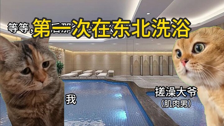 【Meme mèo】Lần đầu đi tắm ở Đông Bắc