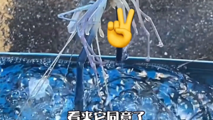 Thai Street Food - Charcoal-Grilled Larb Shrimp