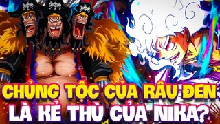 CHỦNG TỘC CỦA RÂU ĐEN LÀ KẺ THÙ CỦA NIKA?! | LUFFY LÀ ĐỐI THỦ TRUYỀN KIẾP?