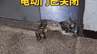 حكيمي مصنوع من الماء