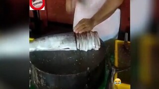 ông tổ nghề chặt cá #funny