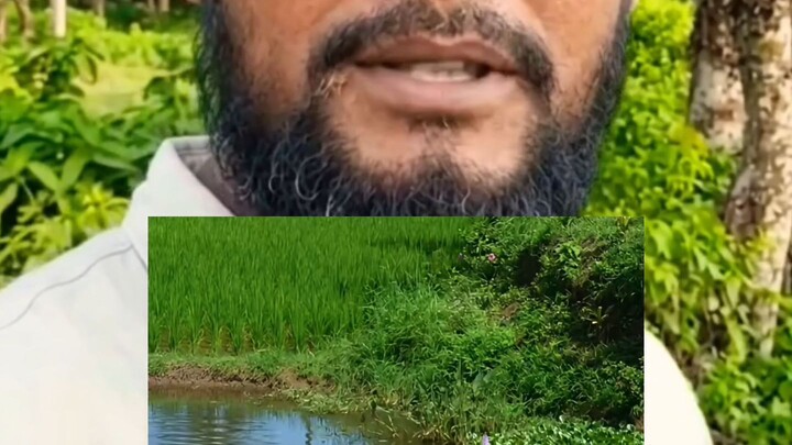 আসুন আপনার সবাই মিলে আমাদের
