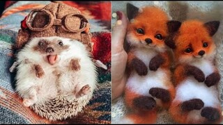 AWW Animals SOO Cute! Cute baby animals Videos Compilation cute moment of the animals #1