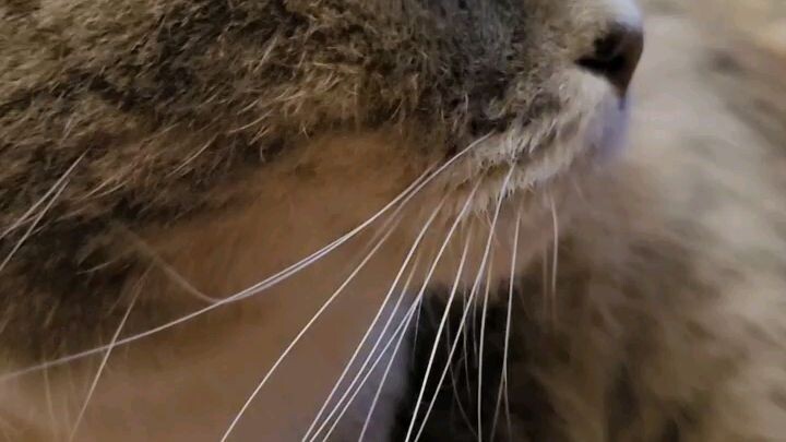 Блюз под дождём