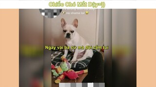 Mày định phản anh à #funny #haihuoc