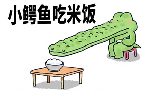 【小矛动物园】小鳄鱼吃米饭从来没吃饱过。