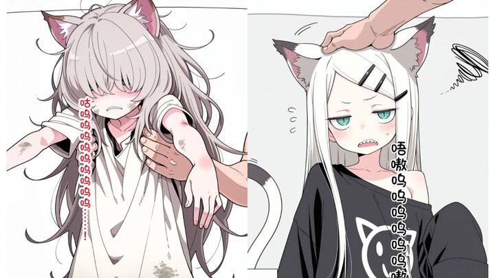 “Sau khi tắm rửa sạch sẽ cho cậu mèo bẩn nhặt về... thì lại nhận được một cô mèo đáng yêu mà hung dữ