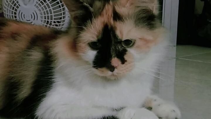 Quanzhi Fashi S1 E07