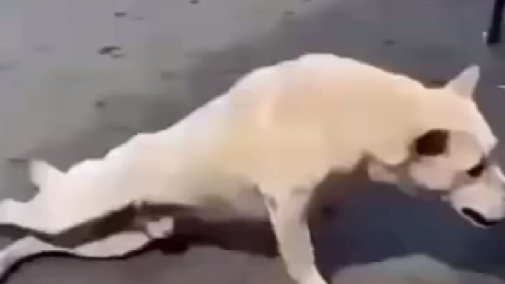 lol