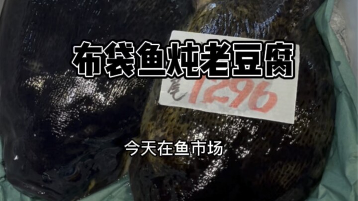 Cá bao bố trông đáng yêu, ăn cũng rất ngon