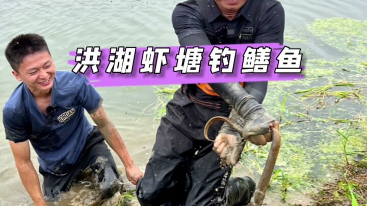 Bawa monyet air, dengan modal 200 yuan, berapa yang bisa didapat dengan menangkap belut di tambak ud