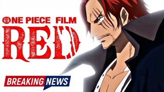 One Piece Gets 'Great Age of Pirates' Exhibit in Hong Kong