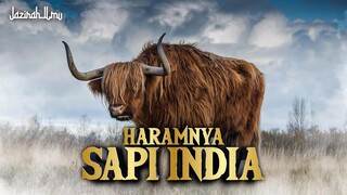 Penyebab H4ramnya Sapi di India